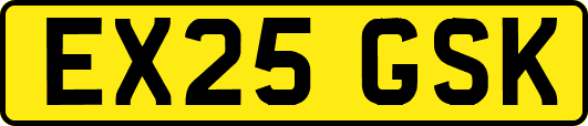 EX25GSK