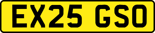 EX25GSO