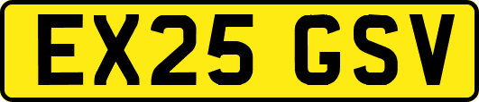 EX25GSV