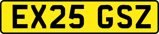 EX25GSZ