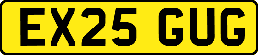 EX25GUG