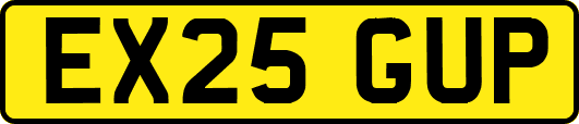 EX25GUP