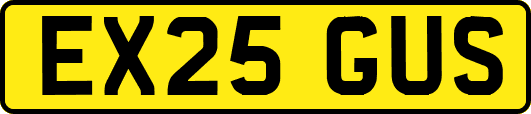 EX25GUS