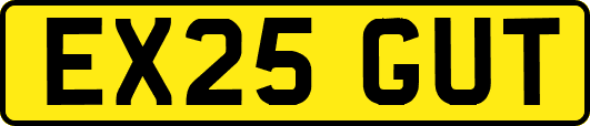 EX25GUT