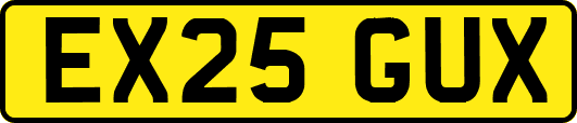 EX25GUX