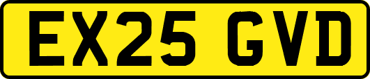EX25GVD