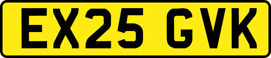 EX25GVK