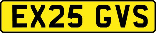 EX25GVS