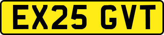 EX25GVT