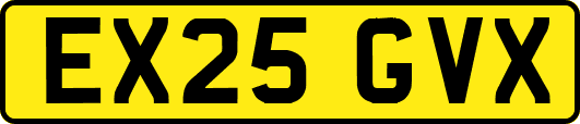 EX25GVX