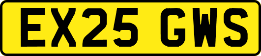 EX25GWS