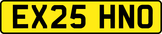 EX25HNO
