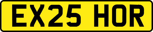 EX25HOR