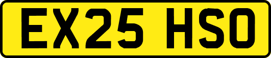 EX25HSO