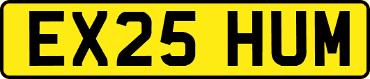 EX25HUM