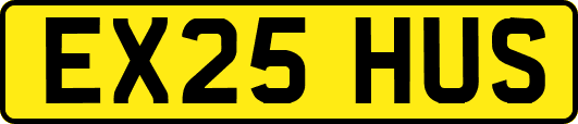 EX25HUS