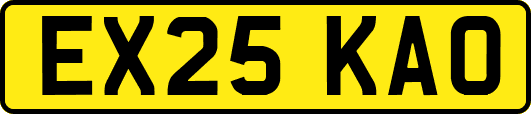 EX25KAO