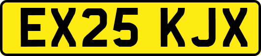 EX25KJX