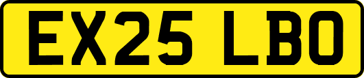 EX25LBO