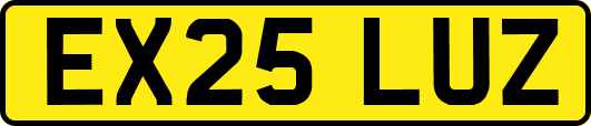 EX25LUZ