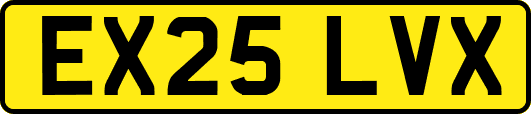 EX25LVX