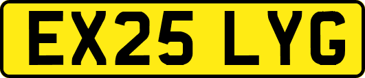 EX25LYG