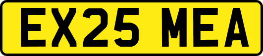 EX25MEA