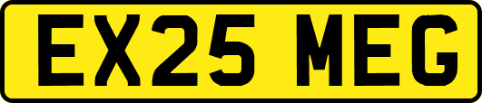 EX25MEG