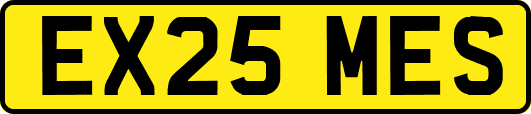 EX25MES