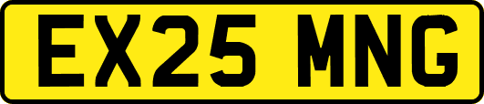 EX25MNG