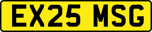 EX25MSG