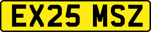 EX25MSZ