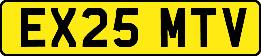 EX25MTV