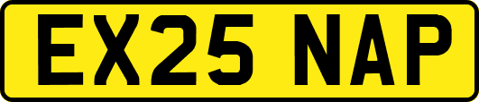 EX25NAP