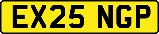EX25NGP