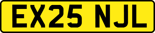 EX25NJL