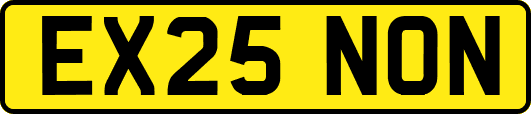 EX25NON