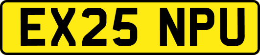 EX25NPU