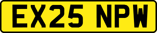 EX25NPW