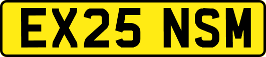 EX25NSM