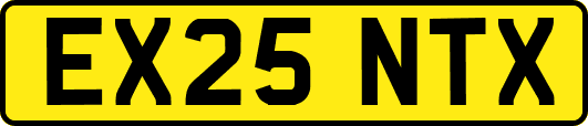EX25NTX