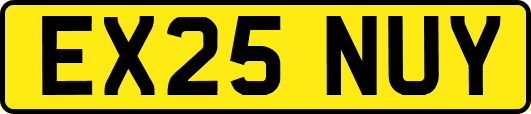 EX25NUY