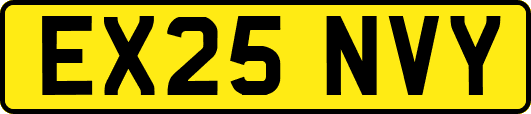 EX25NVY