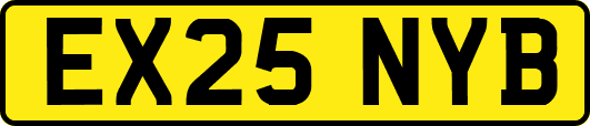 EX25NYB