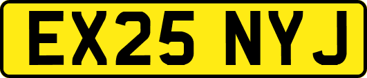 EX25NYJ