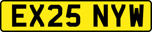 EX25NYW