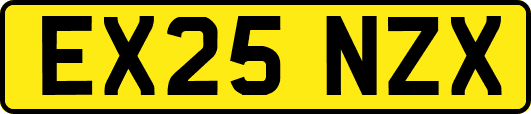 EX25NZX