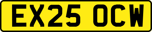 EX25OCW