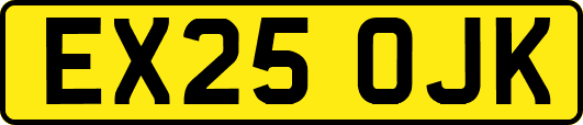 EX25OJK