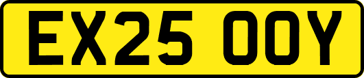 EX25OOY